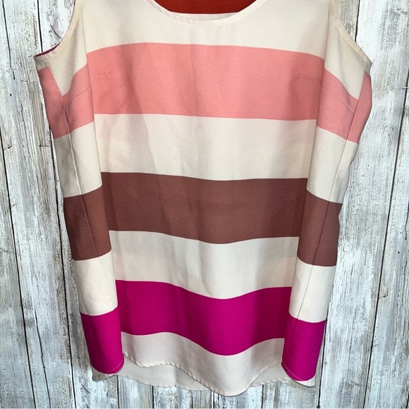 Loft Stripe Multi Pink Shade Sleeveless Blouse - Picture 3 of 4